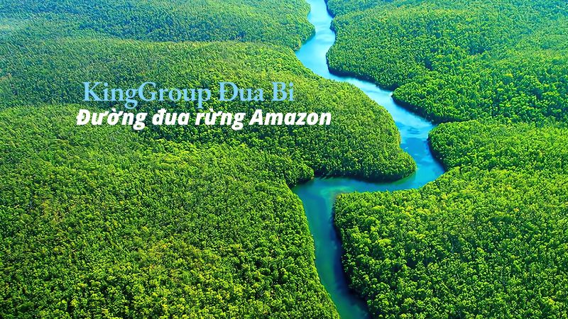 Đường đua rừng Amazon KingGroup Đua Bi